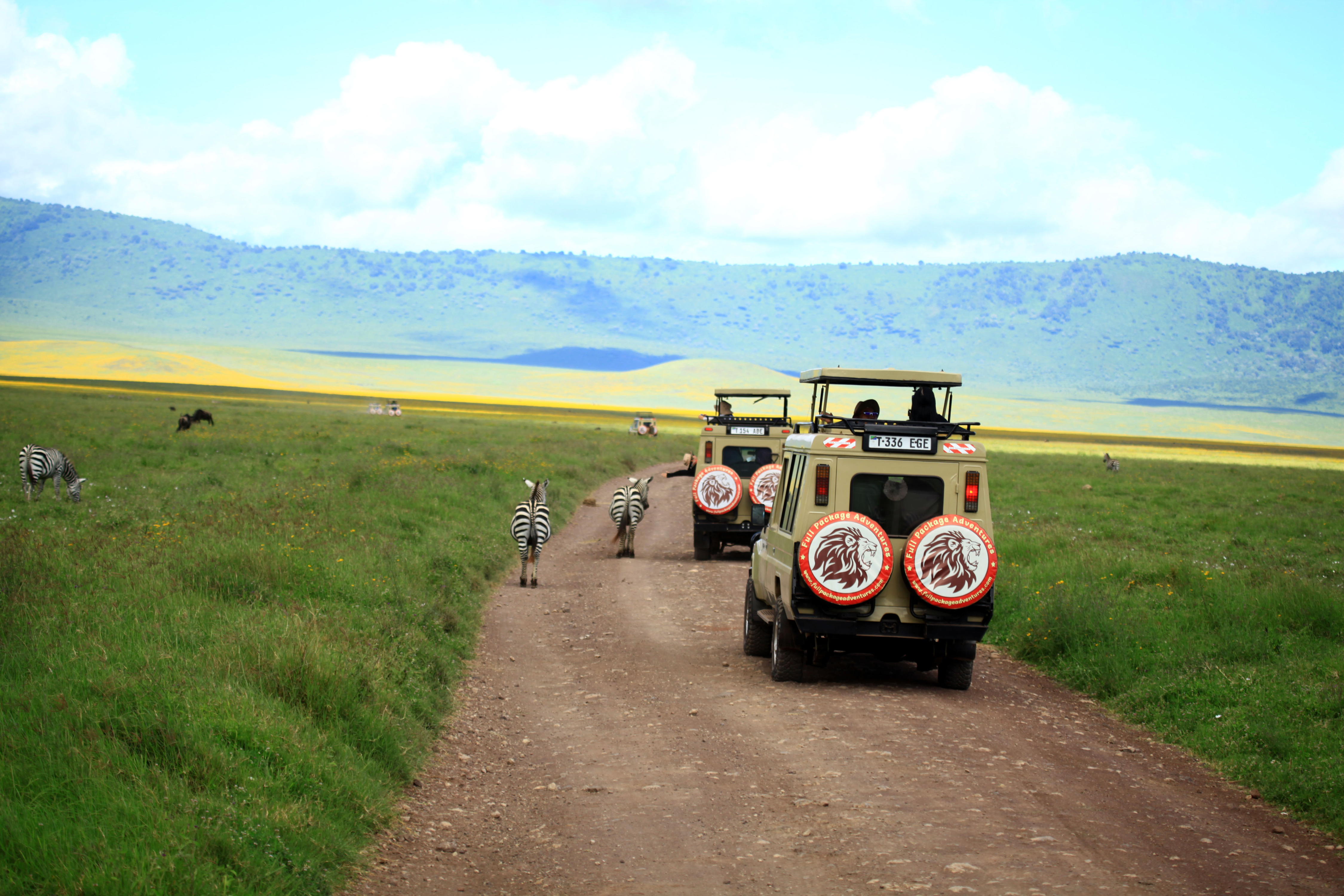 Best Safari Company in Tanzania | Full Package Adventures